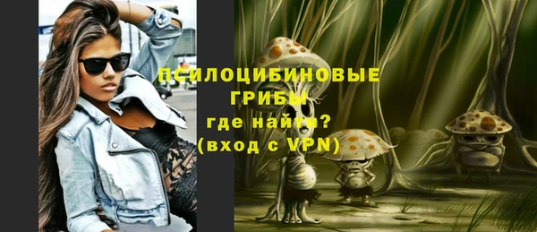 соль ск Михайловск