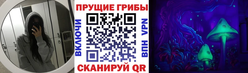 как найти закладки  Коркино  Галлюциногенные грибы Psilocybe 