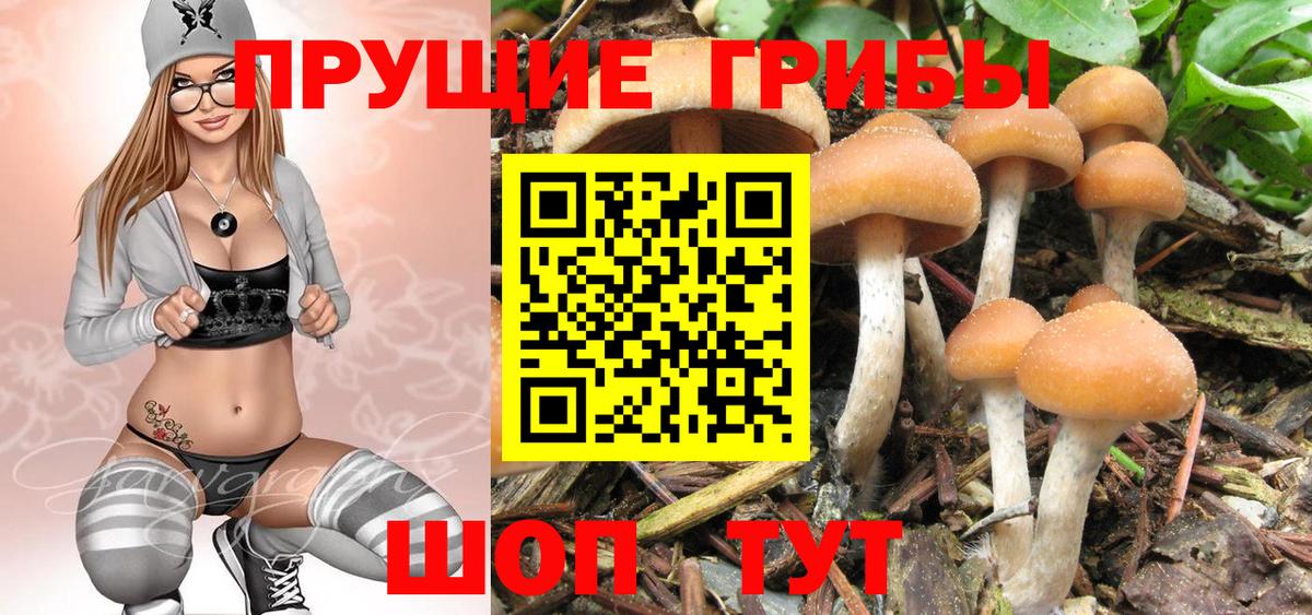 Галлюциногенные грибы MAGIC MUSHROOMS Коркино