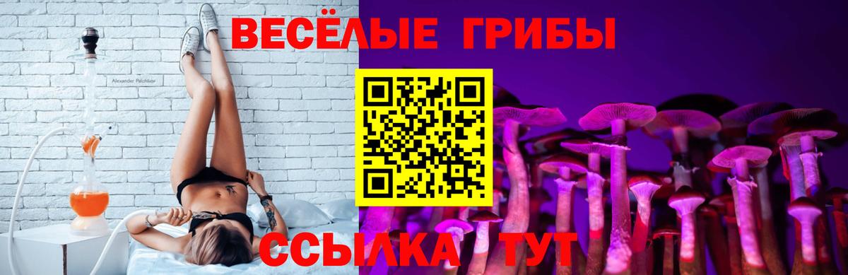 Галлюциногенные грибы MAGIC MUSHROOMS  Коркино  где можно купить   Галлюциногенные грибы MAGIC MUSHROOMS 